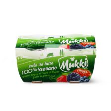 Yogurt magro Frutti di Bosco