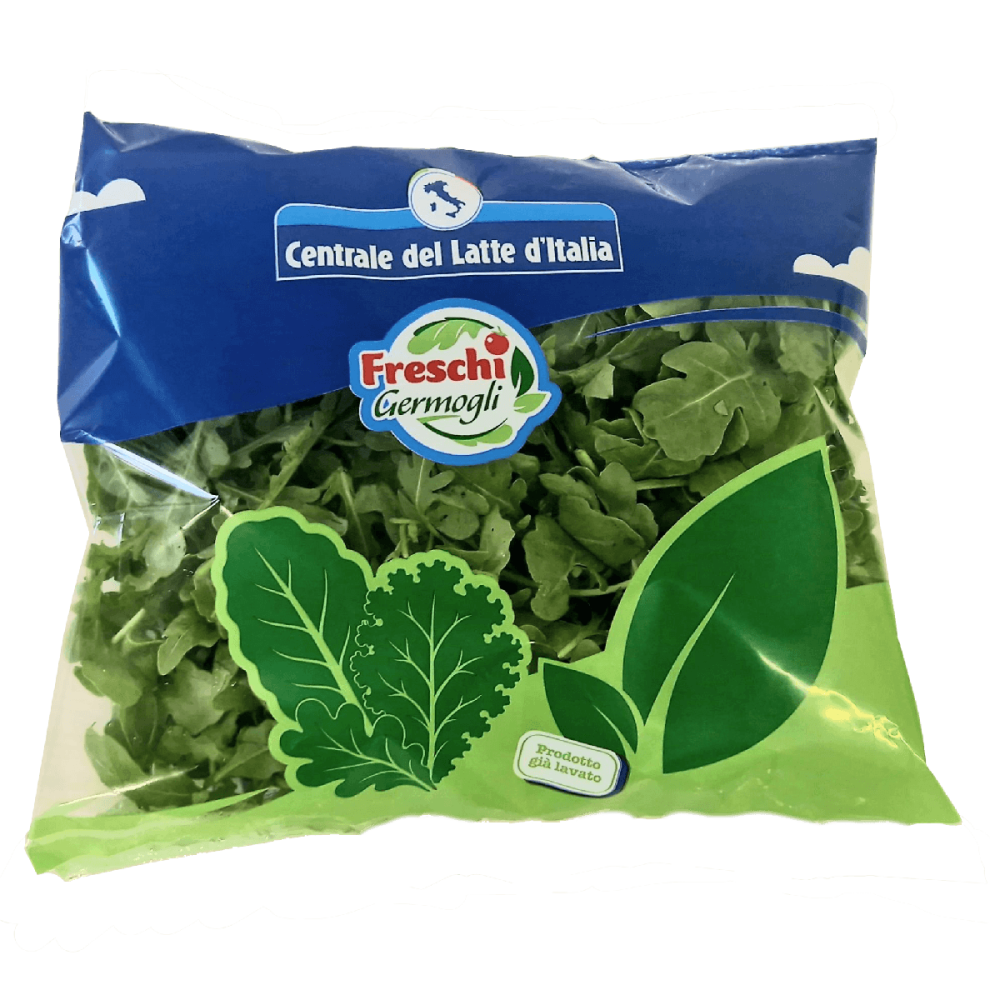 Rucola